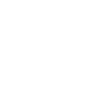 Icon équipe