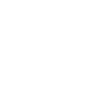 Icon statistiques