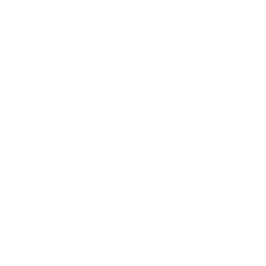 Icon map